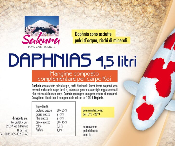 Daphnia - pulci dacqua 4,5 litri mangime per Koi, pesci...